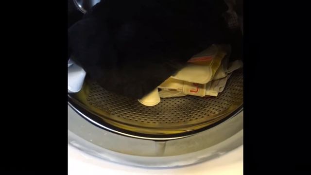 How to Wash Goakeeper Gloves - Washing Machine смотреть онлайн
