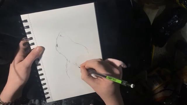 Howling Wolf (Sketch )Speed Drawing смотреть онлайн
