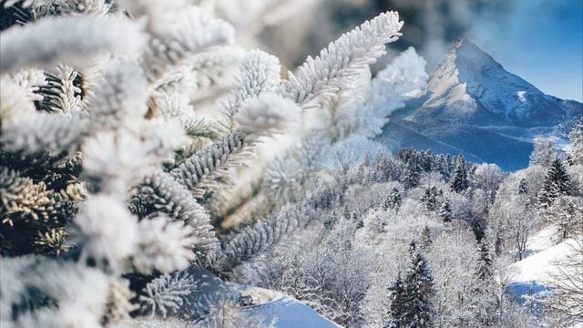 12 февраля сделайте это дело и весь год вам будет везти в делах! Народная примета в день Трехсвятия смотреть онлайн