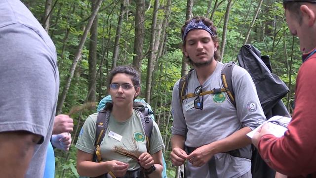 The First-Time Camper Program смотреть онлайн