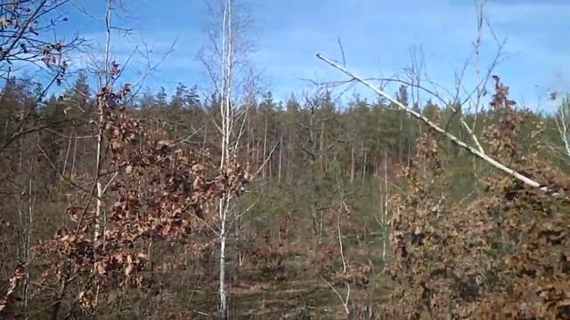 Усатый-полосатый Самуил Маршак смотреть онлайн