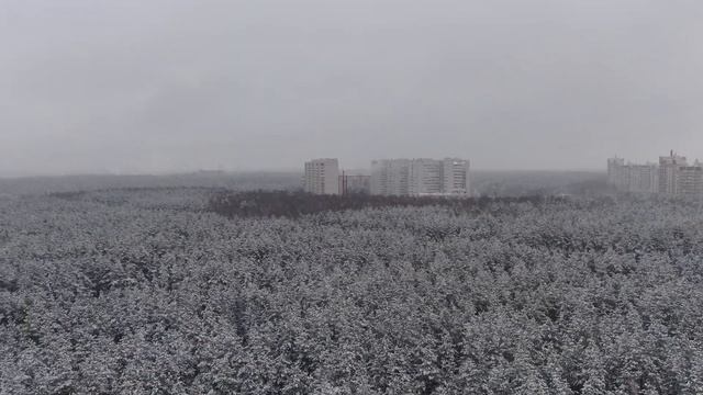 Полет после снегопада. Новый 2022 год. 1 января. Воронеж. смотреть онлайн