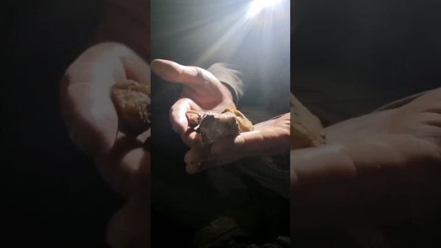 Taking A Metal Detector To A Gold Mine!