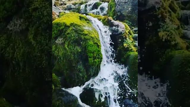 В горы в Домбае можно ходить очень долго.(2) смотреть онлайн