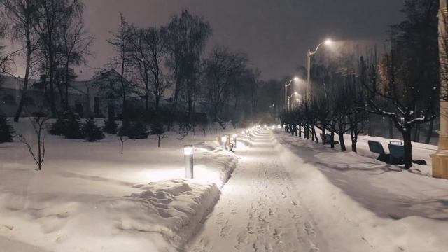 Прогулка в парке вднх. / A walk in the VDNH Park 27.12.2022 смотреть онлайн