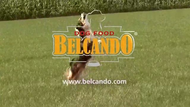 Немецкий корм для собак Belcando смотреть онлайн