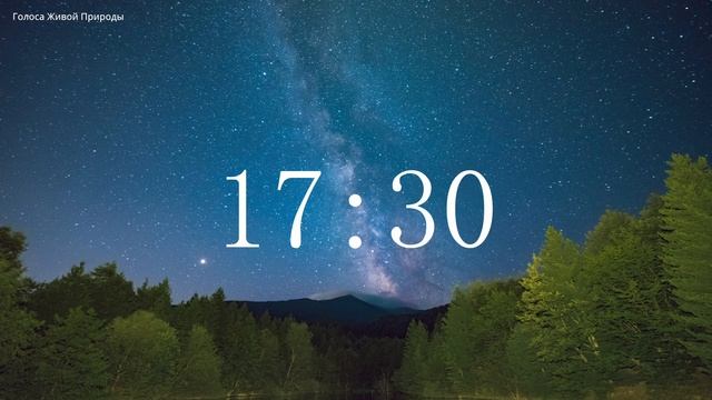 Обратный отсчет Таймер 35 минут. Звуки живой природы / Countdown. Timer 35 min. #ГолосаЖивойПрироды смотреть онлайн