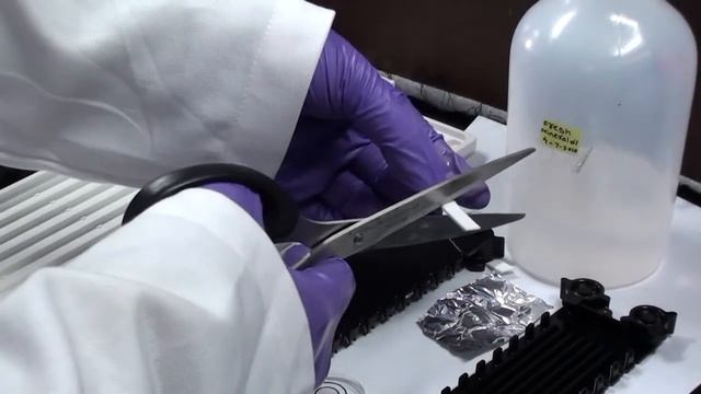 VPL-5-2DE: Isoelectric Focusing (IEF) смотреть онлайн