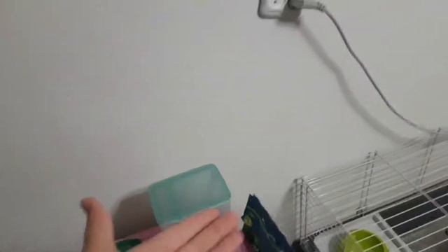 Vlog🐇 Вечер с кроликом😄 смотреть онлайн