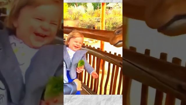 В зоопарке. Прикольные моменты! смотреть онлайн