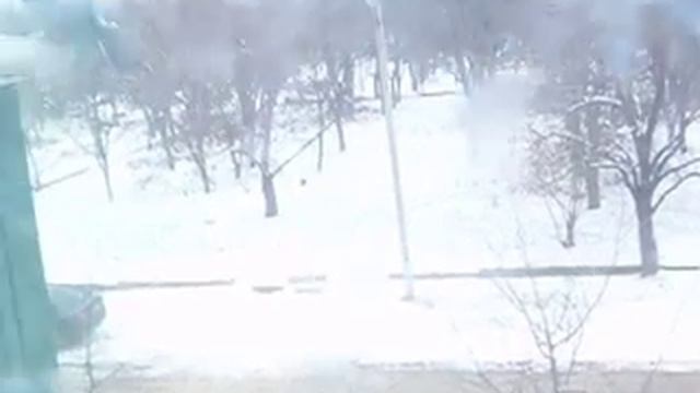 Нелёгкая жизнь голубей зимой смотреть онлайн