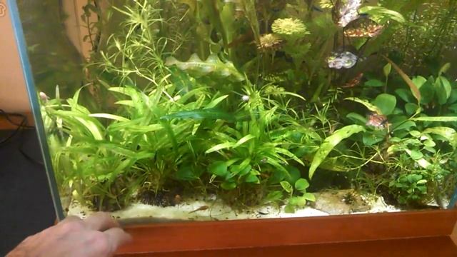 Бюджетный аквариум. Как сэкономить? смотреть онлайн