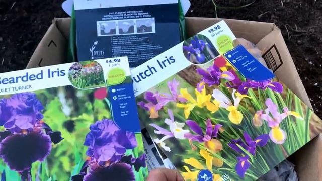 Planting Spring Bulbs for Storage смотреть онлайн
