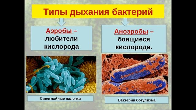 Септик, как выбрать смотреть онлайн