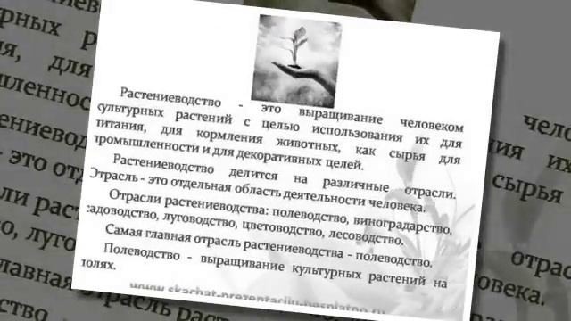 Презентация на тему "Растениеводство (4 класс)" (Екатерина) смотреть онлайн