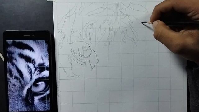 Realistic Drawing TIGER ? | Step by Step OutlineTutorial ♥️ смотреть онлайн