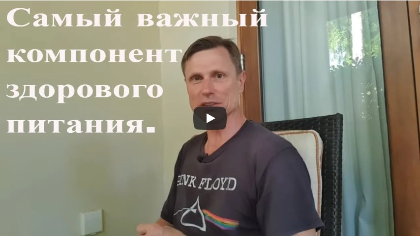 Самый важный компонент здорового питания