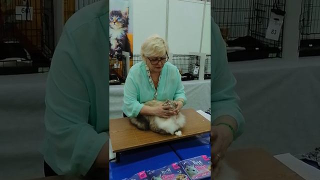 Наш производитель Орион смотреть онлайн