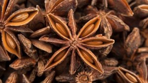 Как Выращивать  Анис В Домашних Условиях