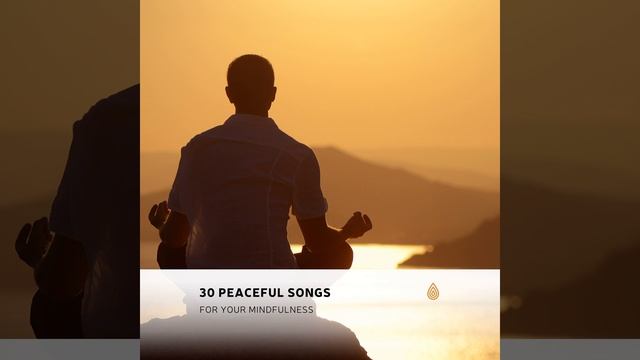 Mellow Groovy Forest Mindfulness смотреть онлайн