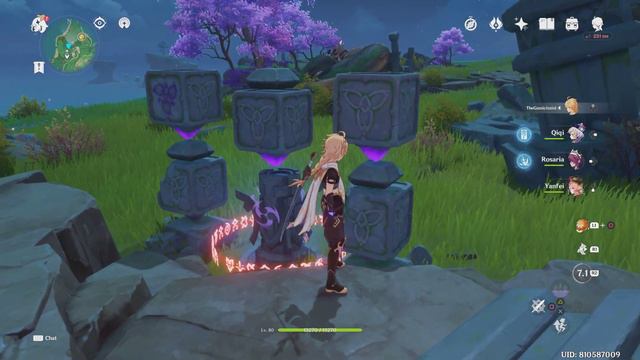 Electro Stone And Statue Puzzle Solved In Araumi Narukami Inazuma