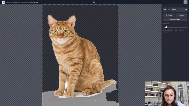 How to Make PNGs ONLINE (Free PNG File Maker) смотреть онлайн