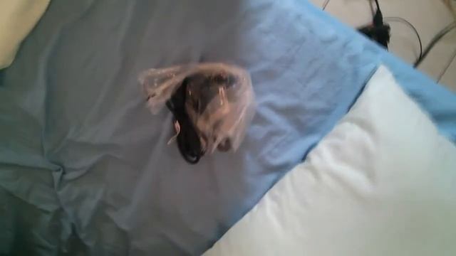 Unboxing Notebook - Sony Vaio Fit 15E - SVF15213CBW смотреть онлайн