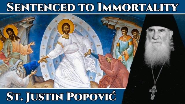 Sentenced to Immortality - A Paschal Homily from St. Justin Popović смотреть онлайн