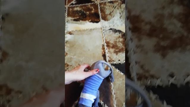 одежда для сфинкса за одну минуту смотреть онлайн