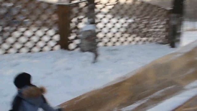 Зимние аттракционы в биробиджанском парке смотреть онлайн