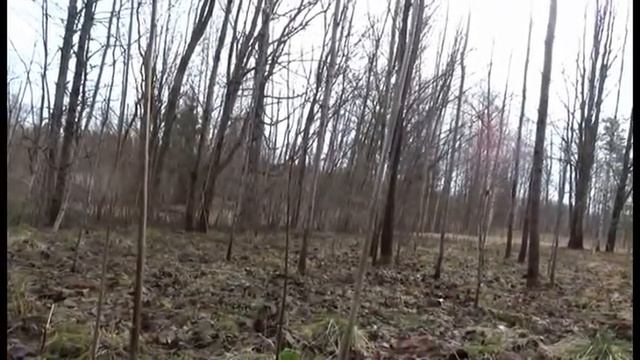 Медведь Витебская область смотреть онлайн