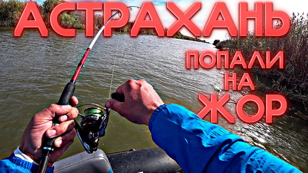 На эту приманку можно ловить мешками! Ловля жереха в Астрахани. смотреть онлайн