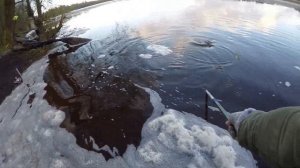 река Волхов рыбалка Лещи за кг!