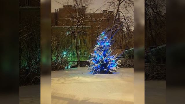 Зима. Санкт Петербург. Автор Амосова Е Фото. смотреть онлайн