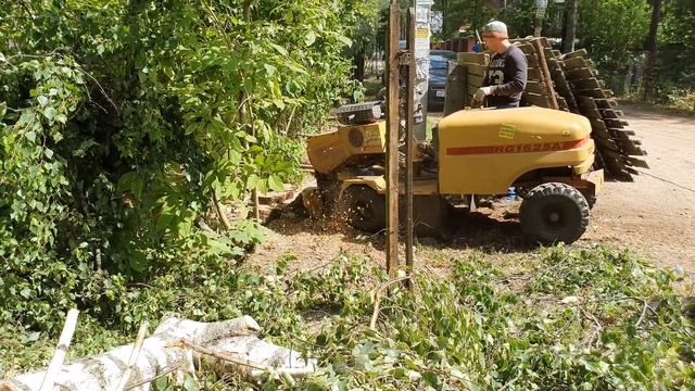 Дробление пней Arborgrad.ru смотреть онлайн