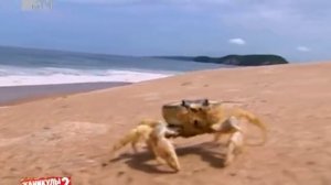 Каникулы в Мексике 2. 7 выпуск. Эфир 13.03.12.mp4