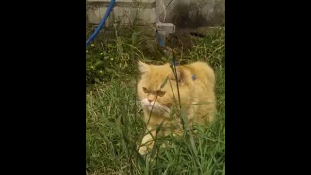 рядом балк смотреть онлайн