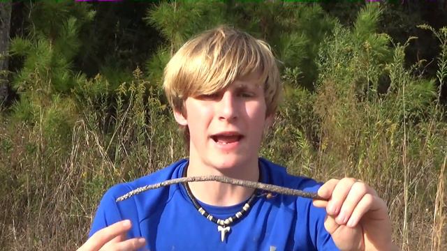 Brown Widow Spider! - Are They ACTUALLY Dangerous?