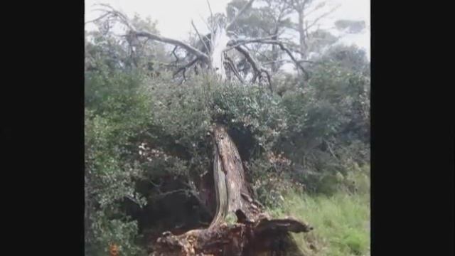 Dugi otok - RAZGLEDNICOM PO DUGOM OTOKU смотреть онлайн