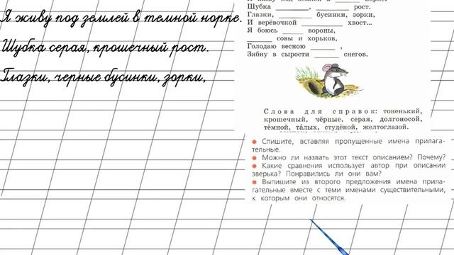 Страница 97 Упражнение 167 «Имя прилагательное» - Русский язык 2 класс (Канакина, Горецкий) Часть 2