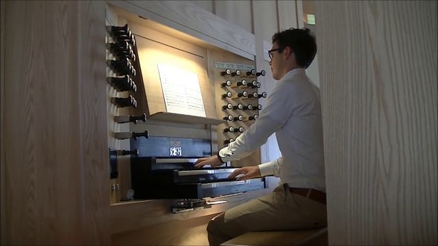 Willem den Boer - Leid vriend'licht Licht (W.H. Zwart) | Scherpenzeel смотреть онлайн