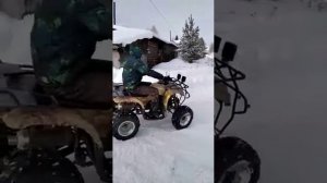 Квадрик apache 150