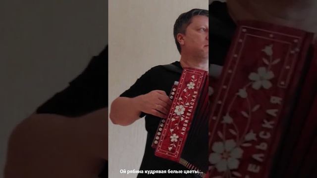 Уральская рябинушка на гармони смотреть онлайн