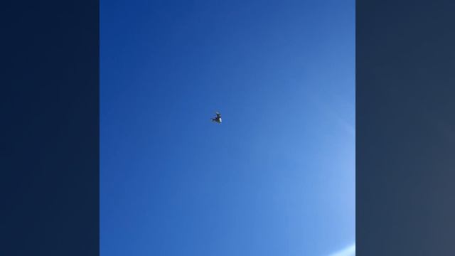 Николашки 15.09.2021 для Мушинского А.В. смотреть онлайн