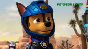 Talking Tom & Sonic The Hedgehog & Paw Patrol & Angry Birds -Coffin Dance Song Astronomia (COVER)