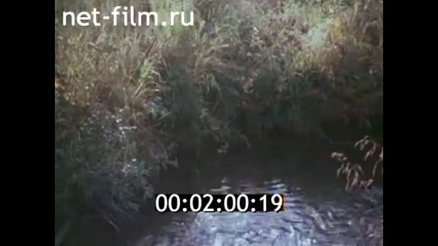 1976г. посёлок Висим. Мамин- Сибиряк Д.Н. Свердловская обл. смотреть онлайн