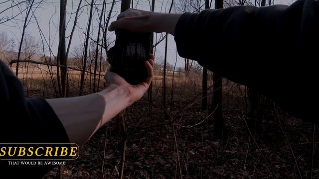 12 Minutes Of Nature POV Photography - Canon EOS R5 смотреть онлайн