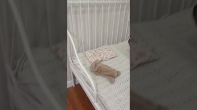 Что находится в моей комнате? смотреть онлайн