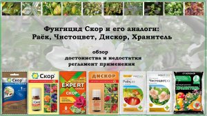 Скор, Раёк, Чистоцвет, Дискор, Хранитель - обзор фунгицидов.