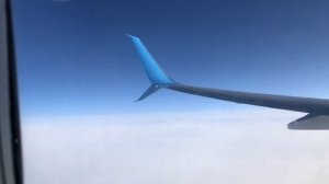 Авиакомпания Победа ручная кладь лайфхаки